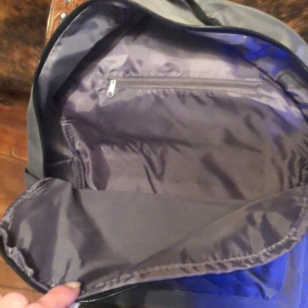 Dsw Backpack - image 4